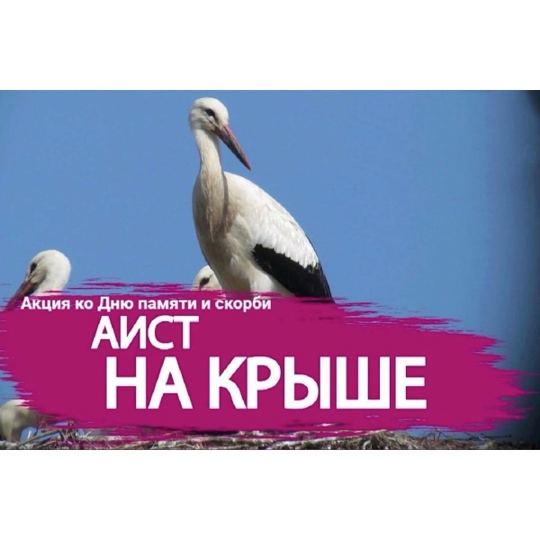 21 июня 2021 г. воспитанники детского сада и воспитатели приняли участие в акции «Аист на крыше»